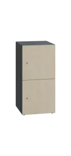 DOMINIT 22 úložná skříň 2-boxová, 917x450x400 mm, korpus antracit, dvířka bříza světlá